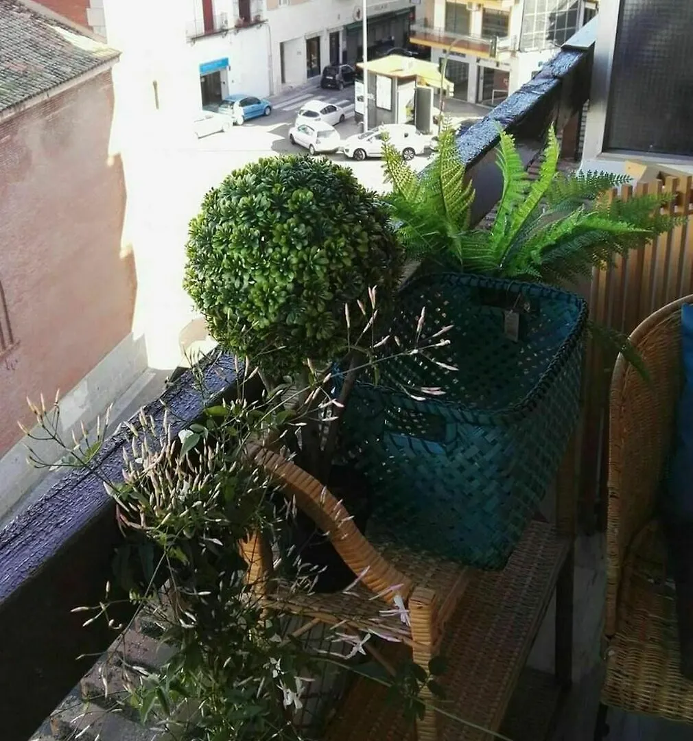 Studio In Sevilla, With Wonderful City View, Terrace And Wifi Spain